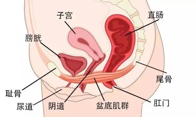 c95cd767acc9b439f7572195819f1d56.jpg c95cd767acc9b439f7572195819f1d56.jpg